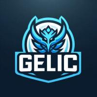 Gelic Network